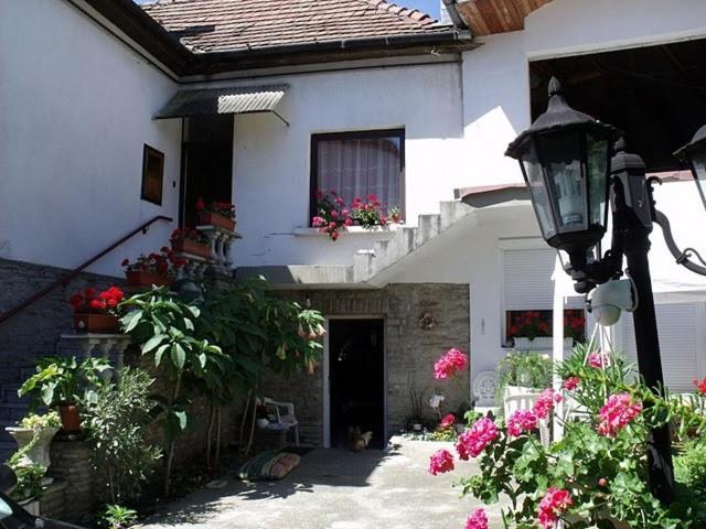 Magdi Panzió Hotel Hévíz Kültér fotó